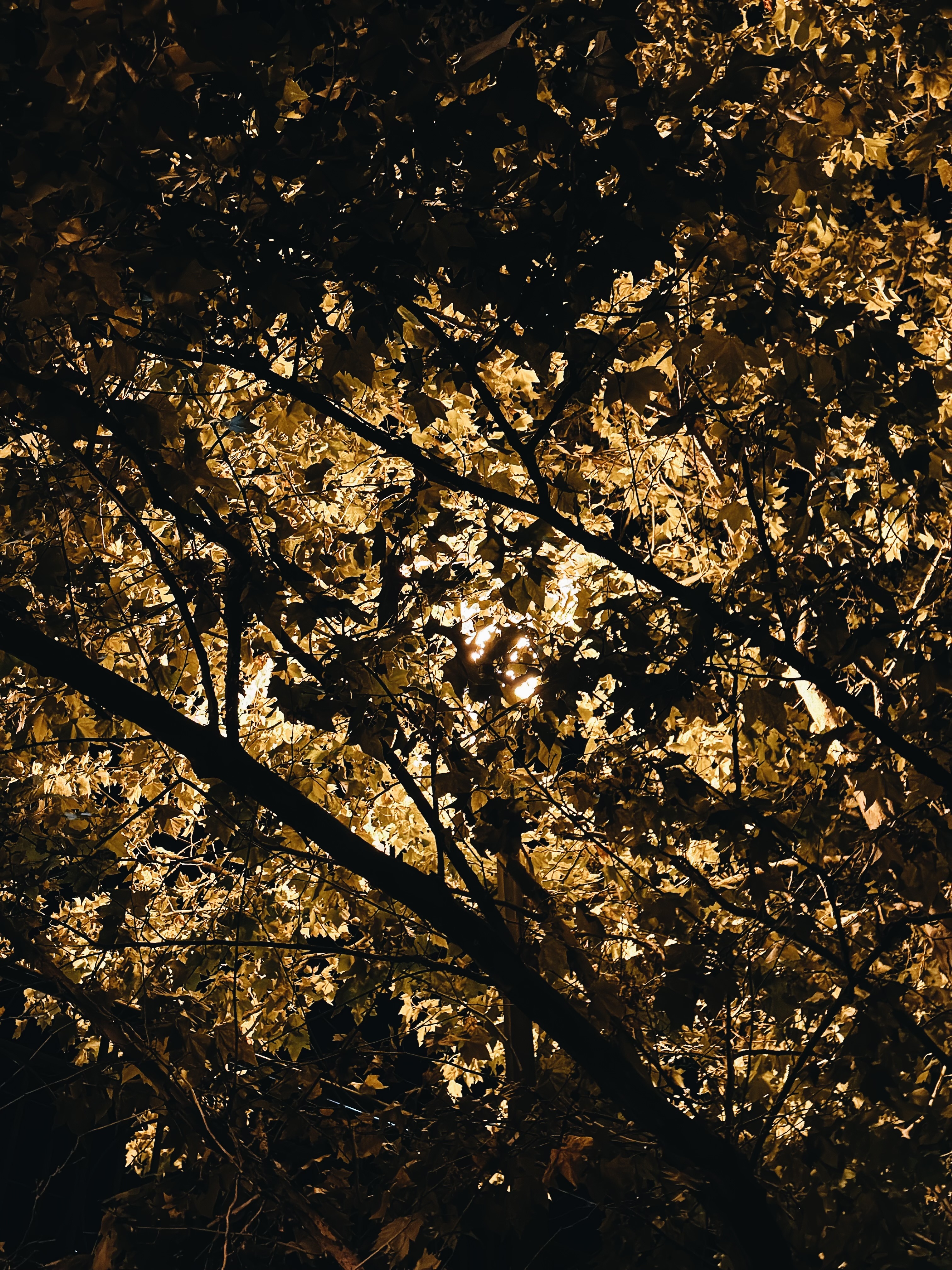 Cracks of Light