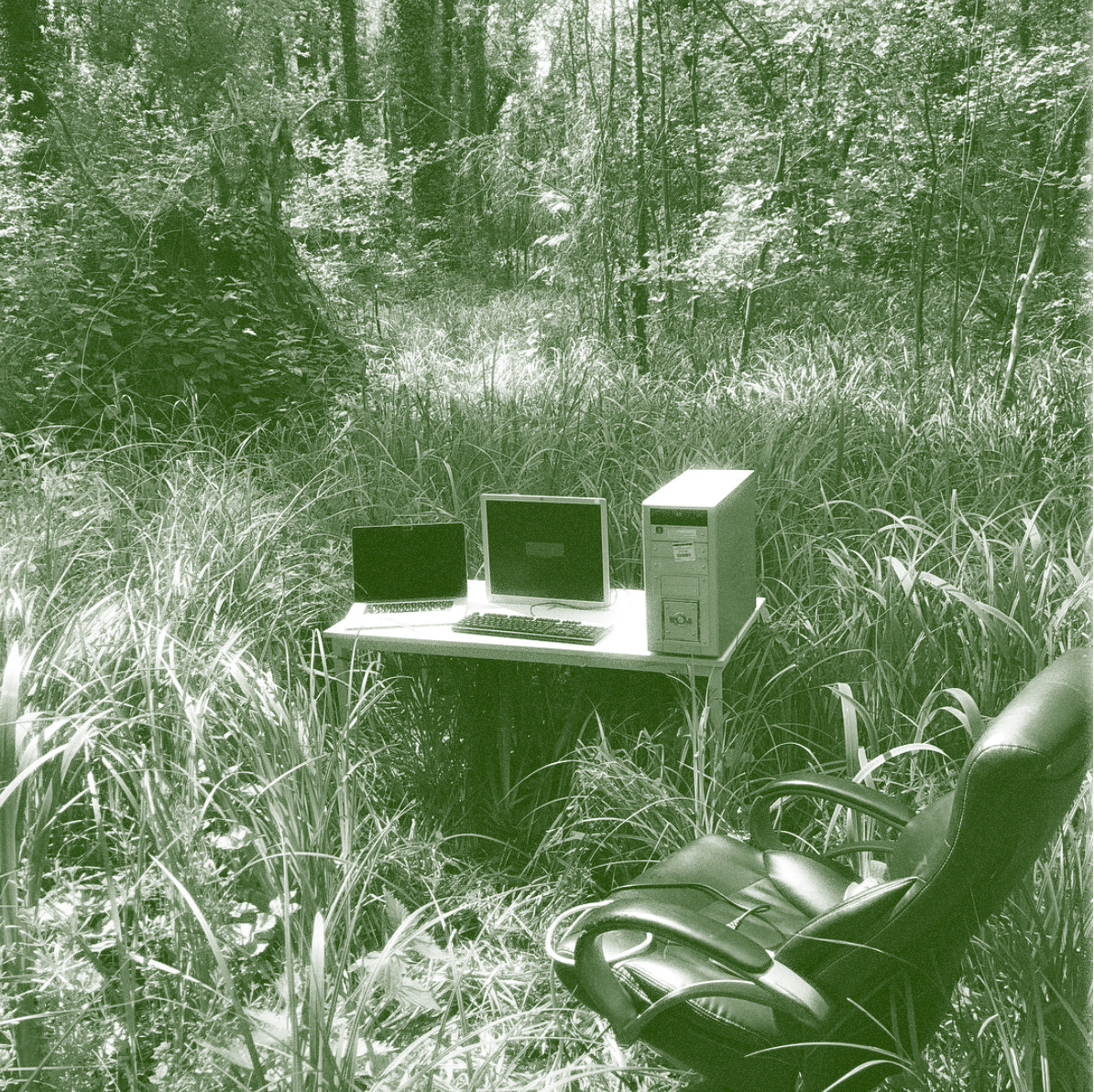 a lovely computer setup in the forest, tinted green