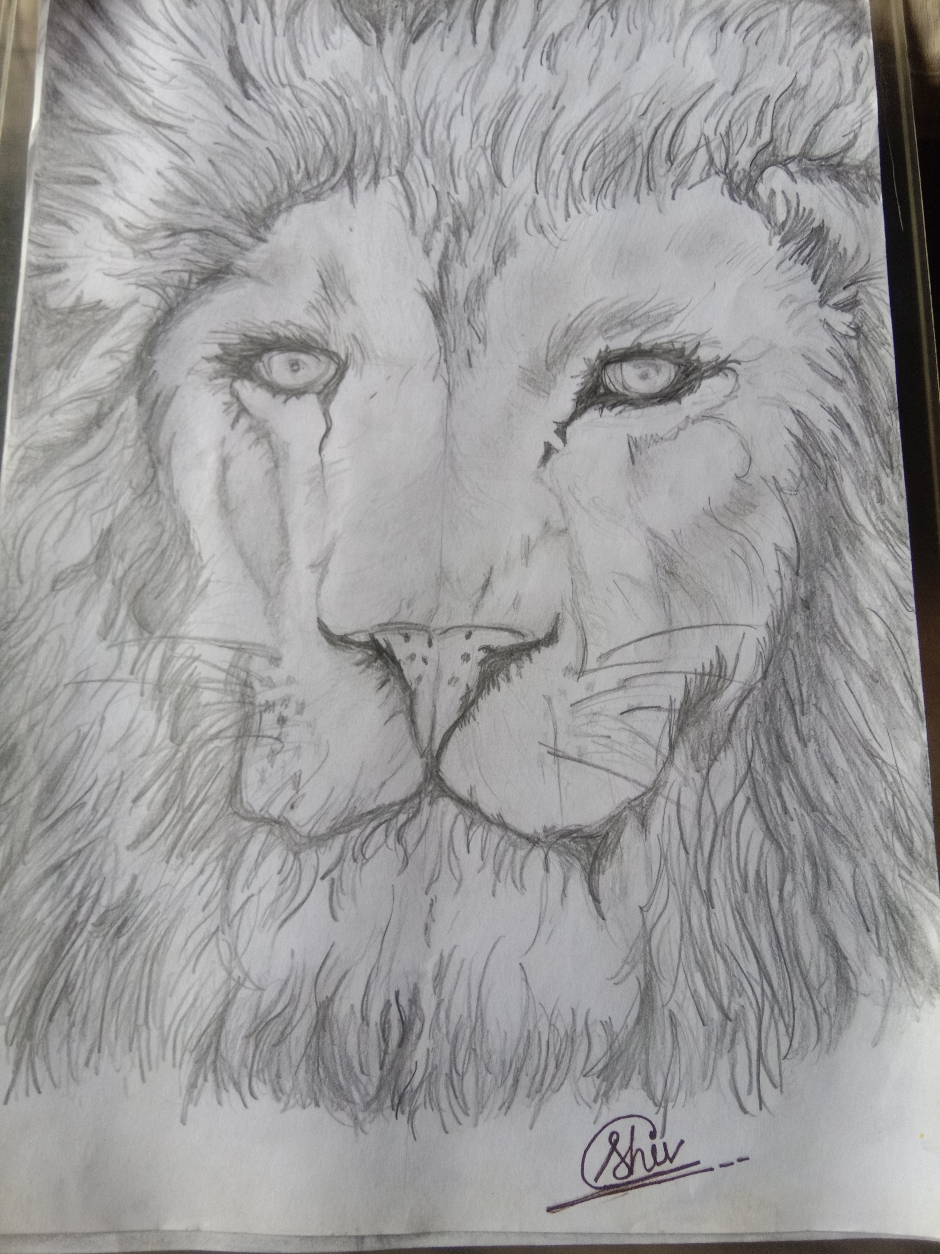 Art 1