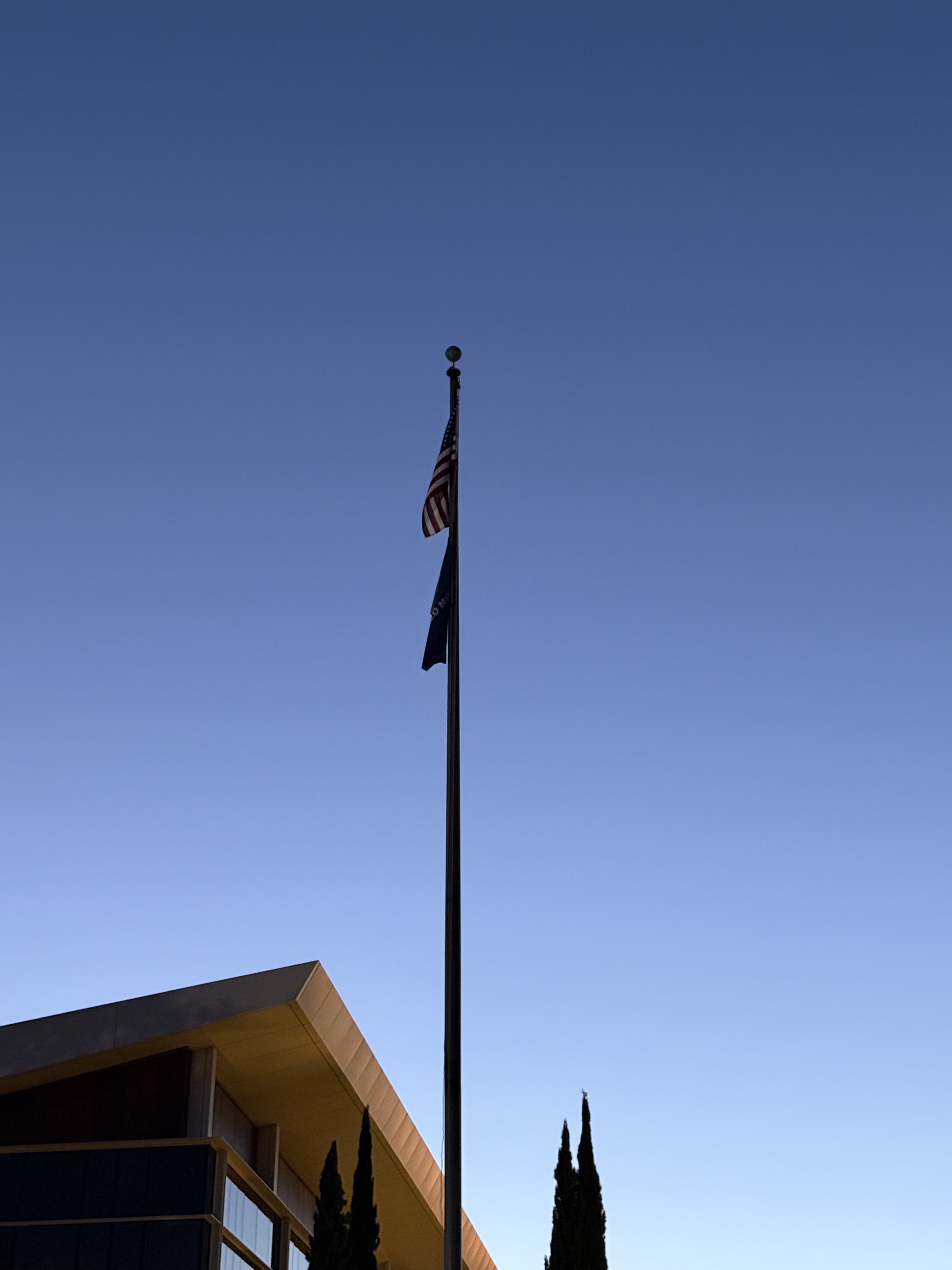 Lockheed Flag