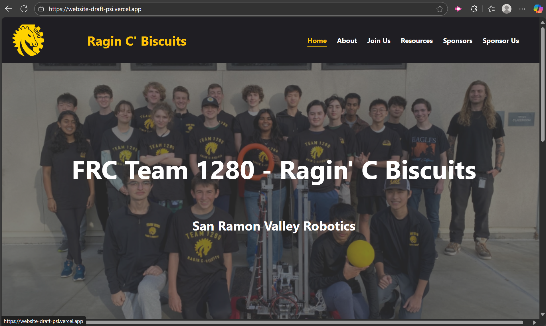 website-draft