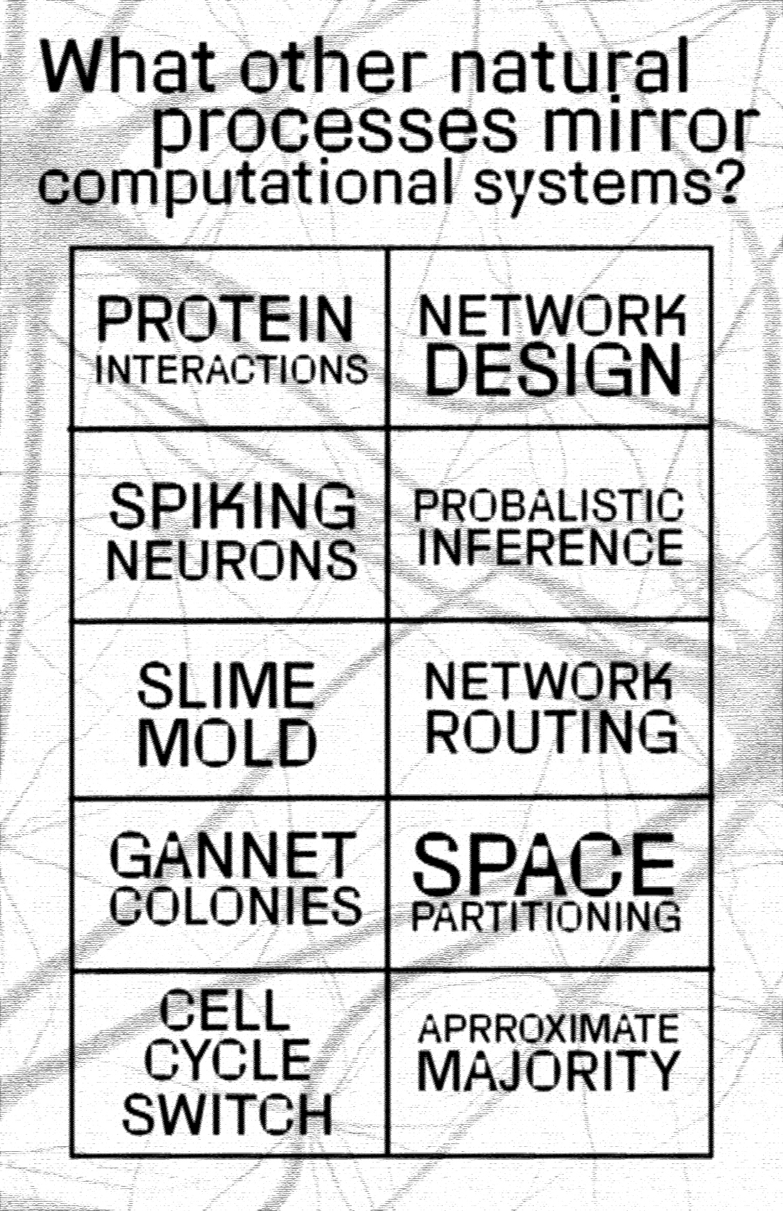 what other processes mirror computational systems