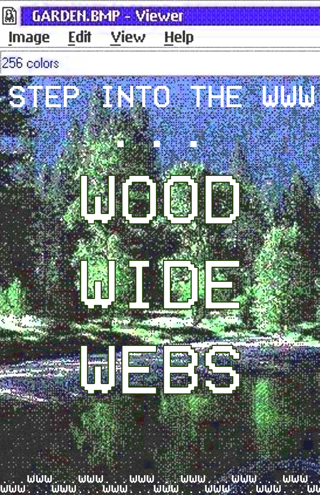 step into the www (wood wide webs)