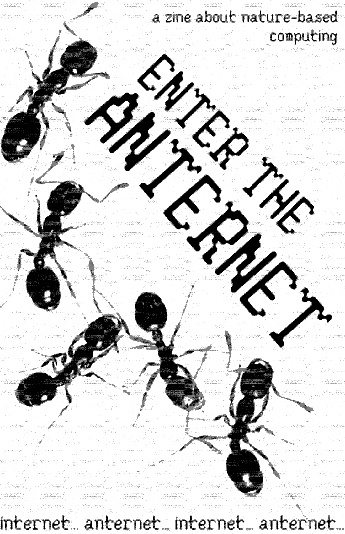 enter the anternet