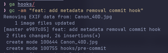 the commit hook finally working!