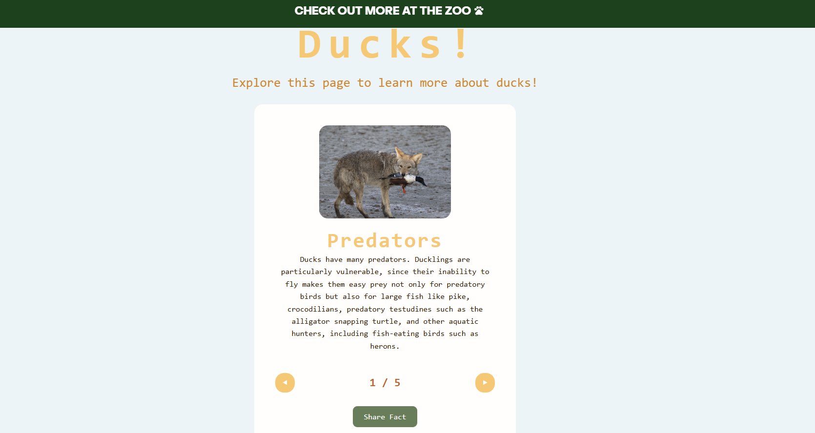 zoo_ducks